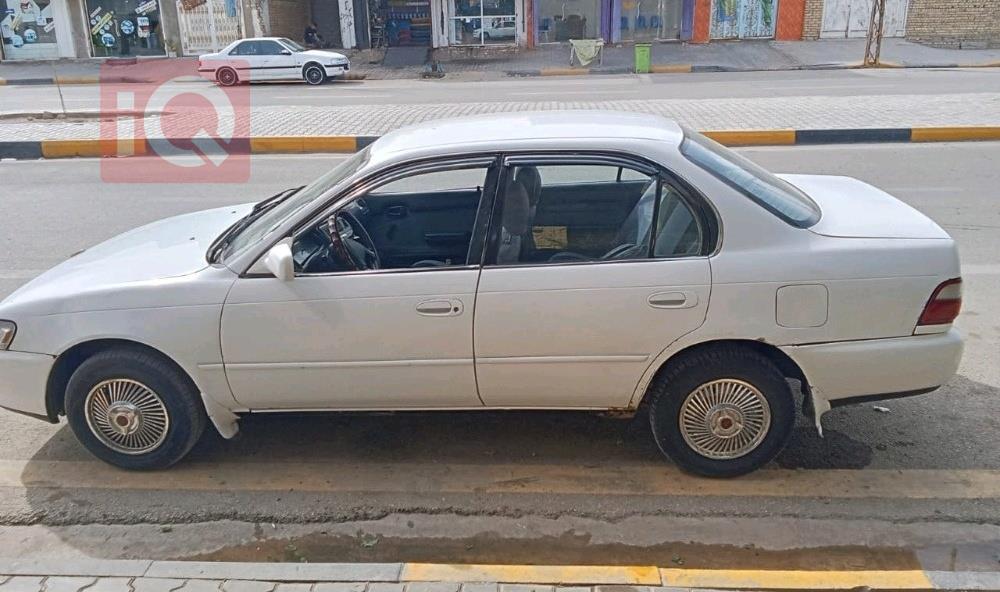 تويوتا كورولا